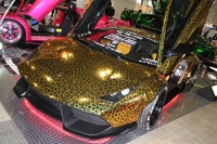 出展車輌 (4枚目)