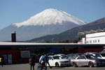 nismo festival 2010