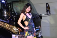 出展車輌 (16枚目)
