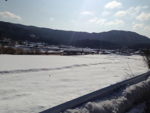 suno (3)