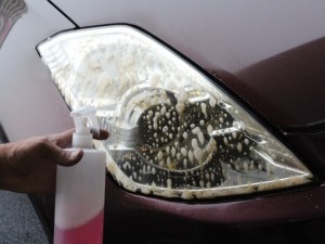 IMG_0021