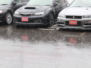 IMG_0017