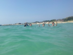 image (13)