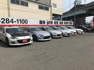 image1 (1)
