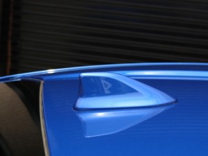 IMG_5231