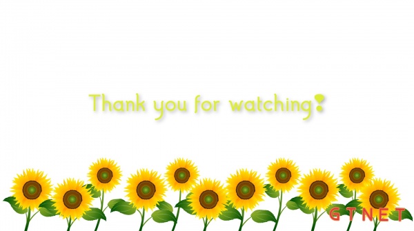 sunflower3