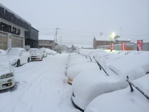 IMG_2377[1]