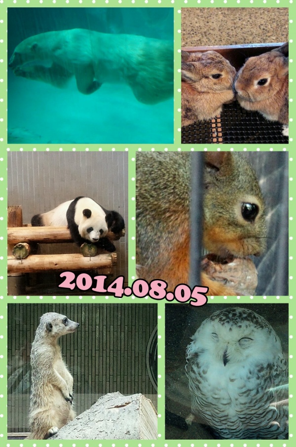 Collage 2014-08-14 23_12_15