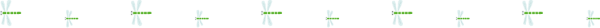 tonbo_line