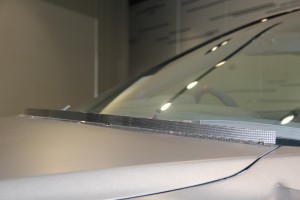 IMG_3809
