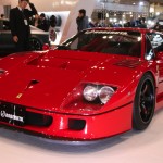 TASWEB_0167