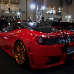 TASWEB_0173