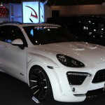 TASWEB_0181