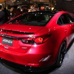 TASWEB_0260