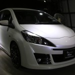 TASWEB_027