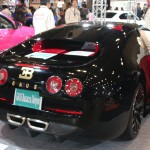 TASWEB_0290