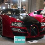 TASWEB_0293