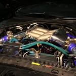 TASWEB_066