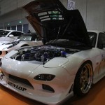 TASWEB_079
