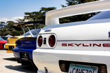 clean-culture-summer-showcase-skyline