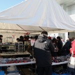 nisfes_ - 99