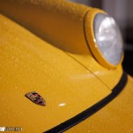 LY3_5828