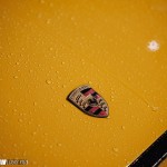 LY3_5848