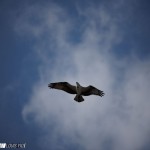 LY2_3406-1024x683