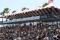 formula d-9