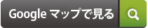 googleMap