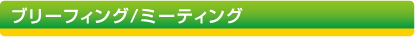 ブリーフィング／ミーティング