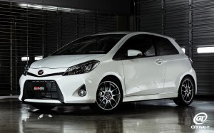 GRMN_Vitz_06