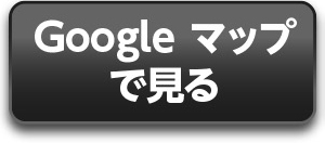googleMap
